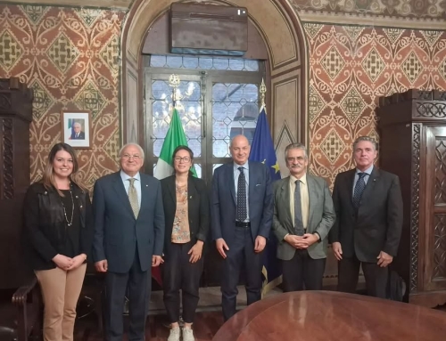 VIOLENZA GIOVANILE E VUOTO DI VALORI: LA RESPONSABILITÀ DEGLI ADULTI